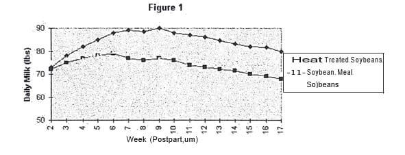 Milk Production Benefits of Roasted Soybeans - Image 3