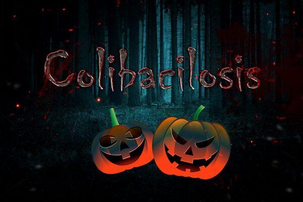 Colibacilosis, a scary and economically devastating disease - Image 1