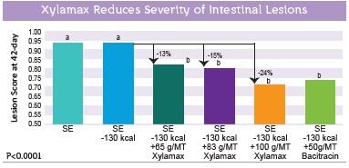The efficacy of Xylamax in commercial broiler performance. - Image 2