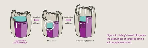 Protecting freshwater with amino-acid enriched animal feed - Image 2