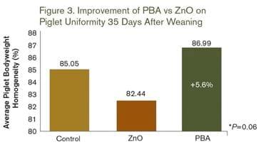 Alternatives to Zinc Oxide for More Potent Piglets - Image 3