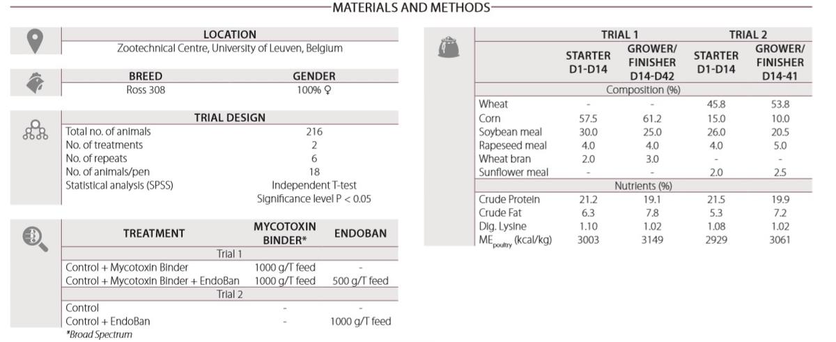 Improving broiler performance with a strategy that reduces the endotoxin related triggering of the immune system. - Image 1