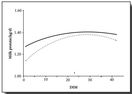 Figure 3. Milk protein yield of cows fed diets with (solid line) or without (dashed line) ReaShure rumen-protected choline at various days in milk (DIM)