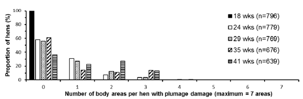 Figure 1 - The proportion of hens in the flock that had nil, or some areas of the body that had plumage damage, when assessed between 18 and 41 weeks of age. The data in the figure are pooled across treatments and pens. The number of hens alive at each assessment point is indicated in the legend. 