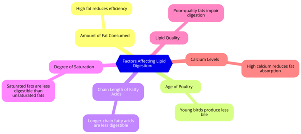 Why Emulsification is Needed: Role of Surfactants / Emulsifiers - Image 5