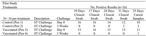 Table 1 - Floor pen birds; The number of cloacal or caecal samples positive for Salmonella Typhimurium. Control groups challenged at day 0 or 3 weeks of age (106 cfu). Vaccinated groups challenged at day 0 or 3 weeks of age (106 cfu).