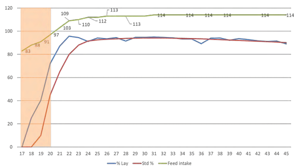 Figure 1 - Production performance and feed intake when used Hybrid Feed from 17 to 20 weeks.