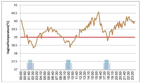 Continuous monitoring of cow