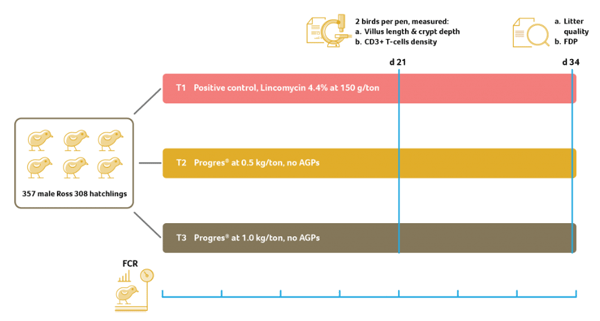 Positive modulation of intestinal milieu by dietary Progres® amendment confirmed in a broiler trial