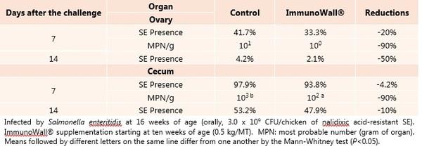 Health and welfare of laying hens translated by Cage-free system - Image 2