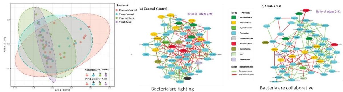 Effect of Sc 47 yeast probiotic yeast on the performance and hindgut microbiota composition of weanling pigs - Image 1