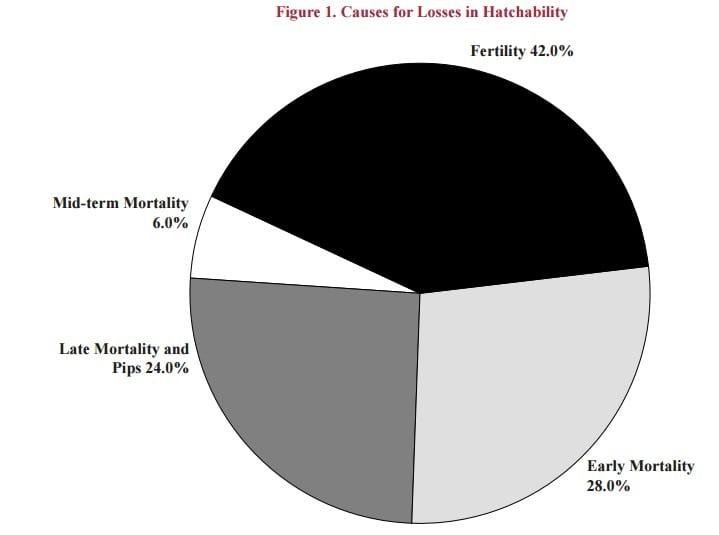 Fertility and Embryonic Mortality in Breeders - Image 5