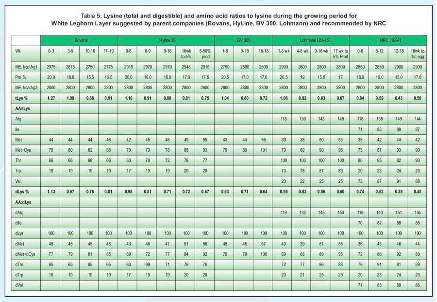 Balanced Nutrition for Different Phases of Chicken - Image 14