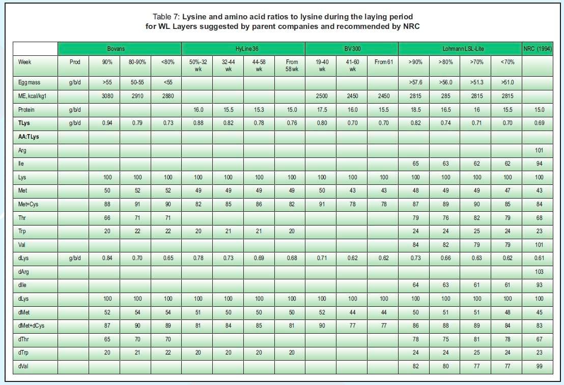 Balanced Nutrition for Different Phases of Chicken - Image 18