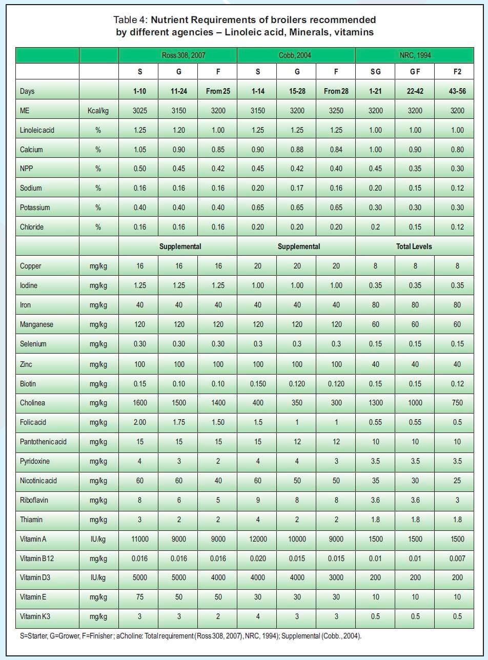 Balanced Nutrition for Different Phases of Chicken - Image 12