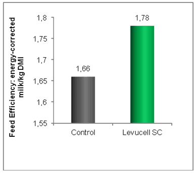 Live yeast could help reduce the impact of heat stress on dairy production - Image 4