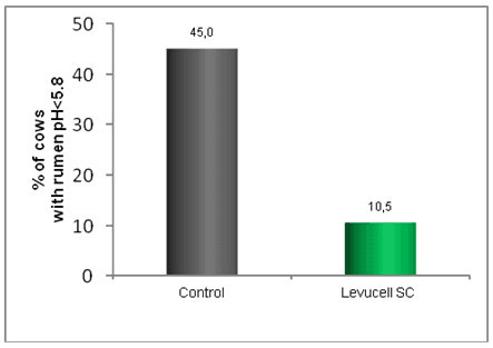 Live yeast could help reduce the impact of heat stress on dairy production - Image 5