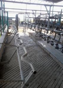 A Pocket Guide to Modern Milking Technique - Image 7