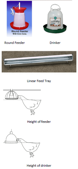 A Pocket Guide to Broiler Management - Image 1