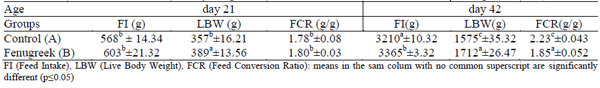 Utilization of Fenugreek (Trigonella Foenum-Graecum) as Growth Promoter for Broiler Chickens - Image 2