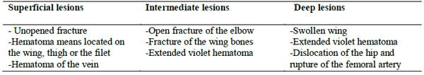  Quality of Broilers Carcasses and Condemnation Rate during the Veterinary Control in the Batna Slaughterhouse - Image 1