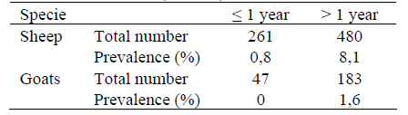 Prevalence and Risk Factors of Caseous Lymphadenitis in Sheep and Goats of Batna Area (Algeria) - Image 1