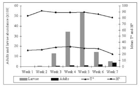 Spatial distribution and population fluctuation of the darkling beetle Alphitobius diaperinus (Coleoptera: Tenebrionidae) - Image 2