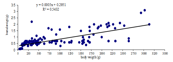 Evaluation of Size and Lesion Scores of Bursa Cloacae in Broiler Flocks in Algeria - Image 3