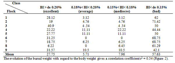 Evaluation of Size and Lesion Scores of Bursa Cloacae in Broiler Flocks in Algeria - Image 2