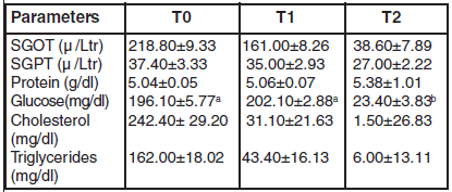 An Evaluation of comparative effects of feeding synthetic and herbal choline on broiler performance, nutrient balance and serum activities - Image 3