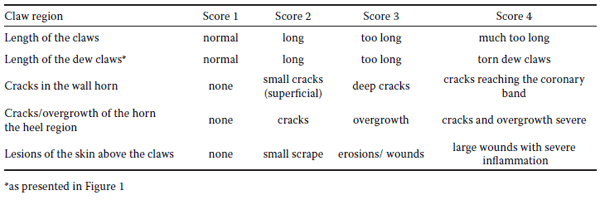 Prevalence and risk factors of claw lesions and lameness in pregnant sows in two types of group housing - Image 3