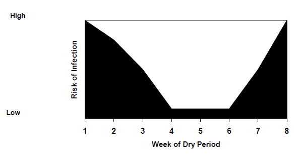 Emerging Mastitis Threats on the Dairy - Image 3