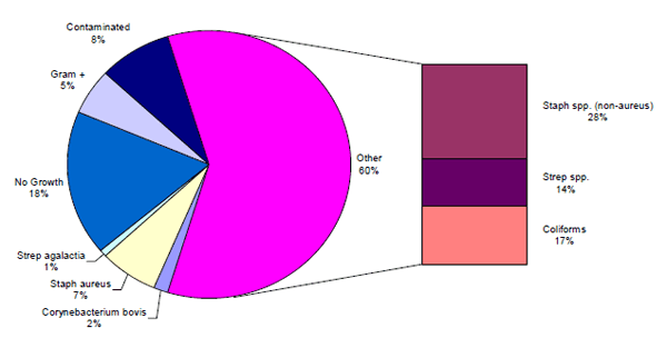 Emerging Mastitis Threats on the Dairy - Image 2