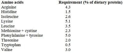 Chicken Viscera: A Universal and Perfect Replacement for Fish Meal in Fish Feed Formulation - Image 1