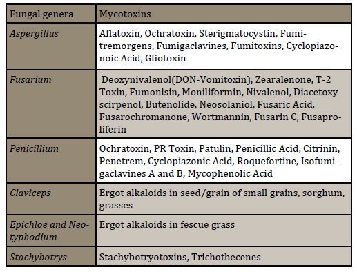 Molds and Mycotoxins in Dairy Cattle Production - Image 1