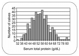 Colostrum for the Dairy Calf - Image 2