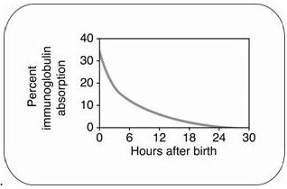 Colostrum for the Dairy Calf - Image 1