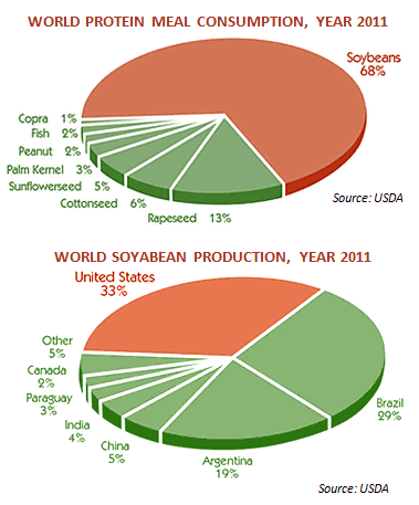 Animal Feed Prices under Severe Bout of Inflation- Part I - Image 1
