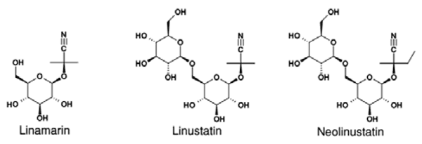 Effect of Microwave Heating on Content of Cyanogenic Glycosides in Linseed - Image 1