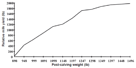 Management and Economic Considerations in Dairy Heifer Development - Image 1