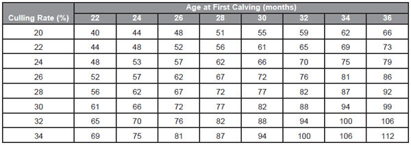 Management and Economic Considerations in Dairy Heifer Development - Image 3