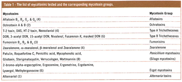 Better scrutiny of mycotoxins with holistic approach of feedstuffs - Image 1