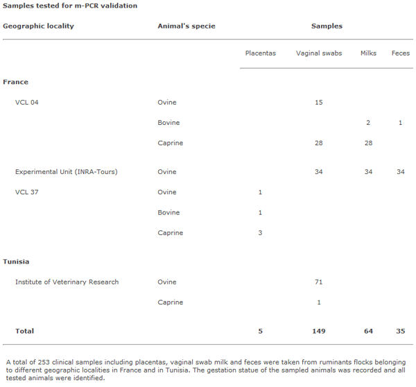 Simultaneous differential detection of Chlamydophila abortus, Chlamydophila pecorum and Coxiella burnetii from aborted ruminant's clinical samples using multiplex PCR - Image 1