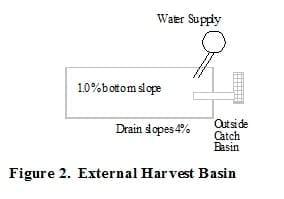 Culture of Freshwater Prawns in Ponds - Image 2