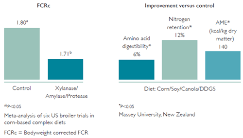 Characteristics of Effective Enzyme Solutions for Poultry Diets - Image 1