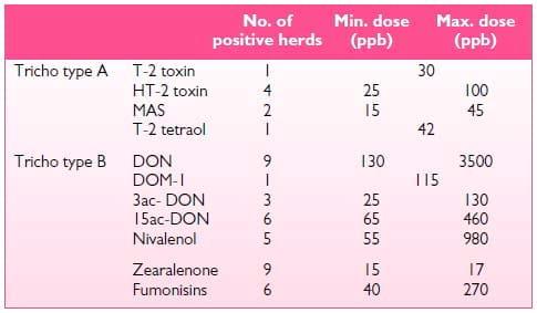 Performance of dairy cows facing suspected mycotoxin problems - Image 1