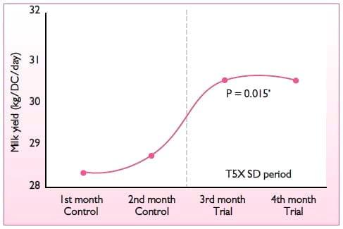 Performance of dairy cows facing suspected mycotoxin problems - Image 3