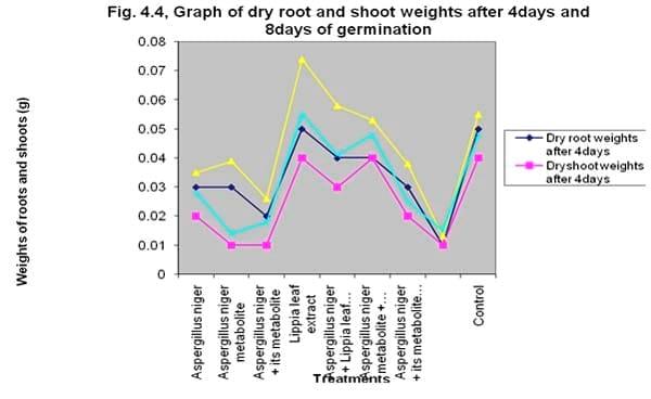 The use of Lippia multiflora leaf extract to control the influence of Aspergillus niger and its metabolite on germinability and seedling vigour of sorghum (Sorghum bicolor ([L.] moench) - Image 8