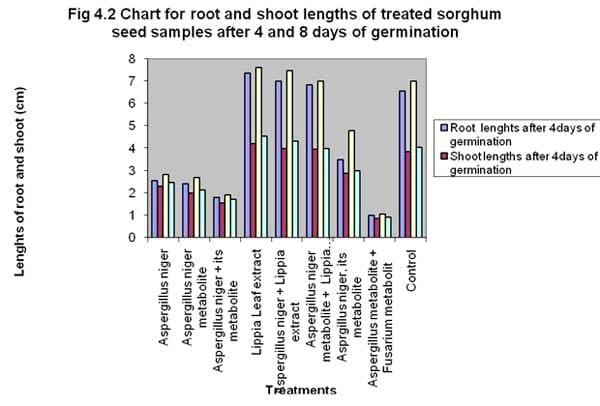 The use of Lippia multiflora leaf extract to control the influence of Aspergillus niger and its metabolite on germinability and seedling vigour of sorghum (Sorghum bicolor ([L.] moench) - Image 6