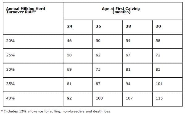 The Cost of Raising Replacement Dairy Heifers - Image 4